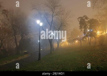 Das Foto zeigt einen verlassenen öffentlichen Park in der Stadt Odessa in einer nebligen Herbstnacht. Stockfoto