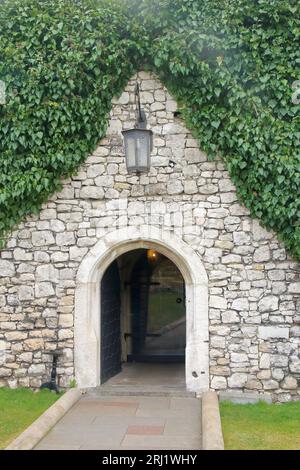 Foto in Krakau. Auf dem Foto ist ein efeubedeckter Eingang für einen Diener in einer alten Burg namens Wawel. Stockfoto