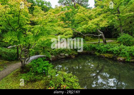 Malerischer Anblick im herrlichen Isuien Garten in Nara. Japan. Stockfoto