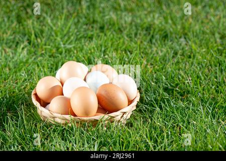 Hühnereier auf dem Hintergrund des grünen Grases Stockfoto