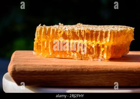 Schatz. Natürlicher Honig und Honigwabe. Nahaufnahme von köstlichen Bienenwaben auf einem Holzschneidebrett. Stockfoto