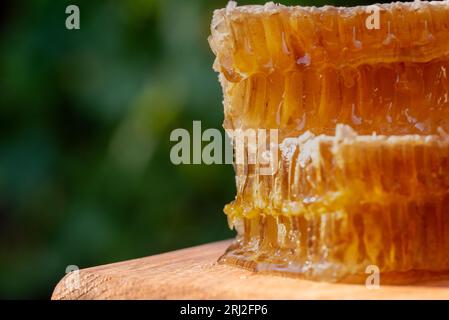 Schatz. Natürlicher Honig und Honigwabe. Nahaufnahme von köstlichen Bienenwaben auf einem Holzschneidebrett. Stockfoto