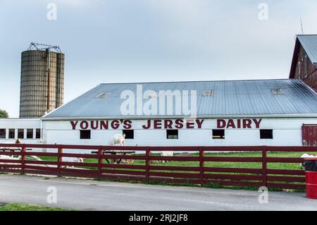 Youngs Jersy Dairy Farm in Yellow Springs, Ohio, USA Stockfoto