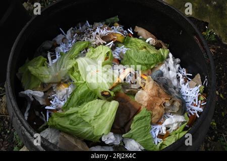 Der Inhalt eines Plastikkompostbehälters auf einer Zuteilung. Hergestellt aus dem Hausmüll, Gemüseschälungen, Kaffeesatz und Teeblätter, Papier, f Stockfoto