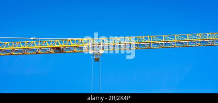 Gelber Mittelteil eines Krans vor blauem Himmel als Hintergrund Stockfoto