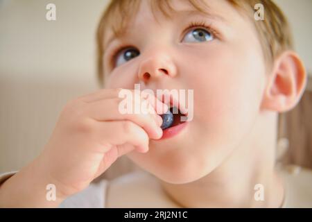 Das Gesicht des kleinen Jungen leuchtet vor Freude auf, während er von einem Teller mit frischen Früchten und Beeren isst. Junge im Alter von zwei Jahren (zwei Jahre) Stockfoto