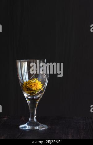 Gebrochenes Weinglas mit einer gelben Löwenzahn-Blume in den Überresten vor schwarzem Hintergrund, abstrakte kreative Bilder Stockfoto