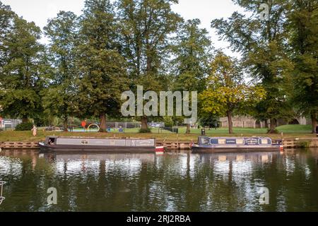 Schmale Boote legten an der Themse in Wallingford, Oxfordshire an Stockfoto