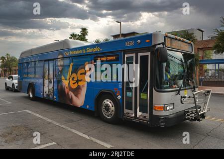 Öffentliche Verkehrsmittel in Tucson AZ mit farbenfroher Werbefolie an den Seiten und hinten. Stockfoto