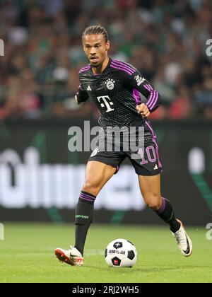 Leroy Sane von Bayern München BREMEN, DEUTSCHLAND - 18. AUGUST: Bundesliga-Spiel zwischen SV Werder Bremen und FC Bayern MŸnchen im Wohninvest Weserstadion am 18. August 2023 in Bremen. Fussball 1 . Bundesliga Saison 2023 / 2024 Werder Bremen - FC Bayern MŸnchen © diebilderwelt / Alamy Stock Stockfoto