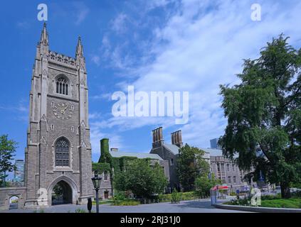 University of Toronto, Warmemorial Clocktower und Hart House Stockfoto