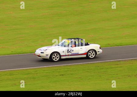 Darlington und District Motor Club im Cadwell Park Stockfoto