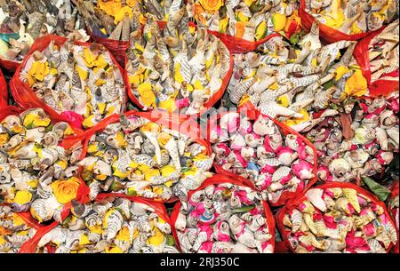 Nahaufnahme von Rosenblüten, jede Blüte in Zeitung verpackt, um frisch zu bleiben - Ho Thi Ky Market, Ho Chi Minh City, Vietnam Stockfoto