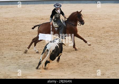 Der Rejoneador Iván Magro bekämpft den Stier während einer Corrida de Rejones in der Stierkampfarena Las Ventas in Madrid. Madrid Spanien. 20.08.2023, Stockfoto