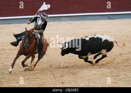 Der Rejoneador Iván Magro bekämpft den Stier während einer Corrida de Rejones in der Stierkampfarena Las Ventas in Madrid. Madrid Spanien. 20.08.2023, Stockfoto