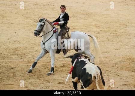 Der Rejoneador Iván Magro bekämpft den Stier während einer Corrida de Rejones in der Stierkampfarena Las Ventas in Madrid. Madrid Spanien. 20.08.2023, Stockfoto