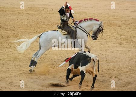 Der Rejoneador Iván Magro bekämpft den Stier während einer Corrida de Rejones in der Stierkampfarena Las Ventas in Madrid. Madrid Spanien. 20.08.2023, Stockfoto