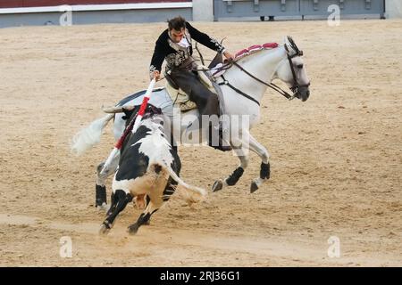 Der Rejoneador Iván Magro bekämpft den Stier während einer Corrida de Rejones in der Stierkampfarena Las Ventas in Madrid. Madrid Spanien. 20.08.2023, Stockfoto