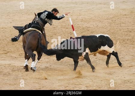 Der Rejoneador Iván Magro bekämpft den Stier während einer Corrida de Rejones in der Stierkampfarena Las Ventas in Madrid. Madrid Spanien. 20.08.2023, Stockfoto