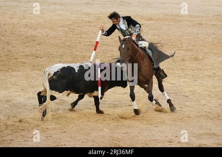 Der Rejoneador Iván Magro bekämpft den Stier während einer Corrida de Rejones in der Stierkampfarena Las Ventas in Madrid. Madrid Spanien. 20.08.2023, Stockfoto