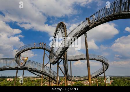 Duisburg, NRW, Deutschland. August 2023. Die Menschen genießen das heiße und sonnige Wetter auf der beliebten Installation „Tiger and Turtle - Magic Mountain“ im Ruhrgebiet Duisburg. Die öffentliche Kunstinstallation von Ulrich Genth und Heike Mutter ist ganzjährig geöffnet und kann kostenlos weiterlaufen. Sie ähnelt einer Achterbahn. Mit Treppen und Gehwegen, die einen Panoramablick über das Ruhrgebiet und die umliegenden Städte bieten, ist es ein beliebtes Wochenendziel. Die Temperaturen erreichten heute in NRW 27-30 Grad. Quelle: Imageplotter/Alamy Live News Stockfoto