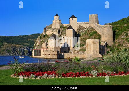 Die mittelalterliche Festung Golubac (14. Jahrhundert) in Golubac, Serbien an einem schönen Sommerabend Stockfoto