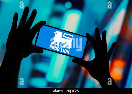 In dieser Abbildung wird das Food Lion-Logo auf einem Smartphone angezeigt. Stockfoto