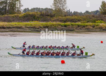 Rennteams beim Richmond Dragon Boat Festival British Columbia Canada Stockfoto