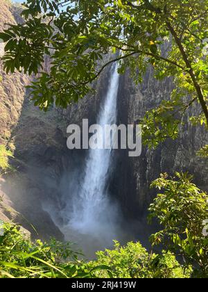 Blick auf die Wallamanfälle, den Wasserfall, queensland, australien, eingerahmt von grünen Blättern, Büschen und Bäumen Stockfoto