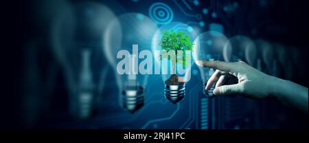 Der Baum in der Glühbirne mit der menschlichen Hand auf die Natur mit digitaler Konvergenz und technologischem Hintergrund. Ökologie, Energie, Umwelt. Stockfoto