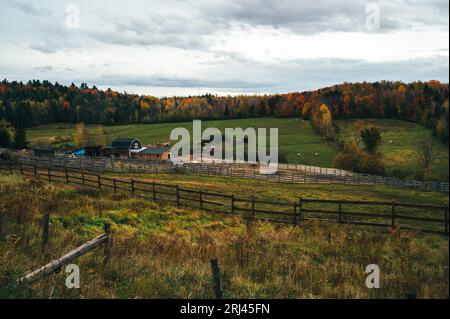 Eine Luftaufnahme einer kanadischen Herbstlandschaft bei bewölktem Wetter Stockfoto