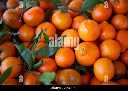 Frische Bio-Mandarinen auf einem Bauernmarkt Stockfoto
