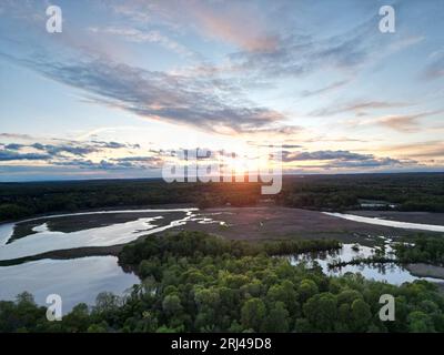 Eine Luftaufnahme von Feuchtgebieten, die unter Sonnenlicht mit Grün bedeckt sind Stockfoto