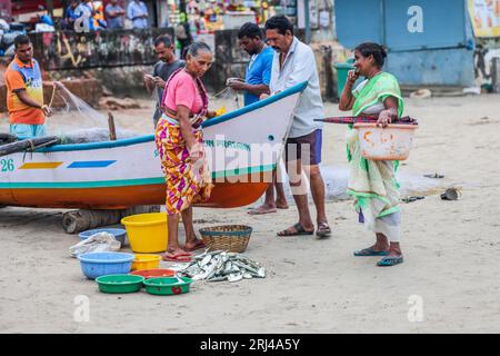 Palolem Beach, South Goa, Indien. August 2023. Fischer bringen ihre Boote an die Küste, um den frühen Morgenfang des Tages auf einem spontanen Markt am Sand zu verkaufen.Paul Quezada-Neiman/Alamy Live News Credit: Paul Quezada-Neiman/Alamy Live News Stockfoto