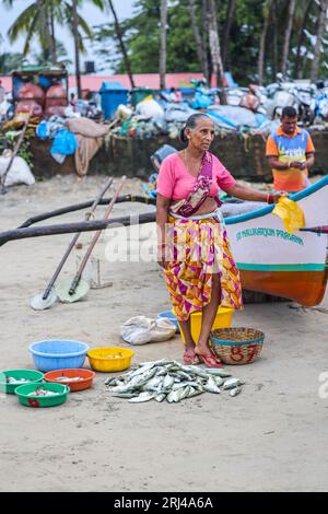 Palolem Beach, South Goa, Indien. August 2023. Fischer bringen ihre Boote an die Küste, um den frühen Morgenfang des Tages auf einem spontanen Markt am Sand zu verkaufen.Paul Quezada-Neiman/Alamy Live News Credit: Paul Quezada-Neiman/Alamy Live News Stockfoto