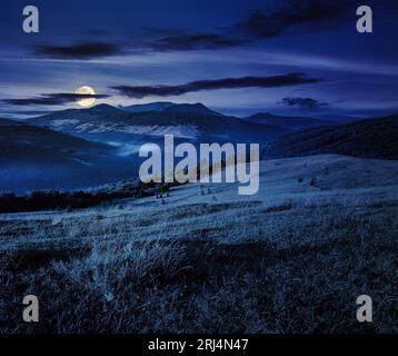 Heuhaufen im ländlichen Feld in der Nähe des Waldes am Fuße des Berges bei Nacht. Wundervolle Landschaft bei Vollmondlicht Stockfoto