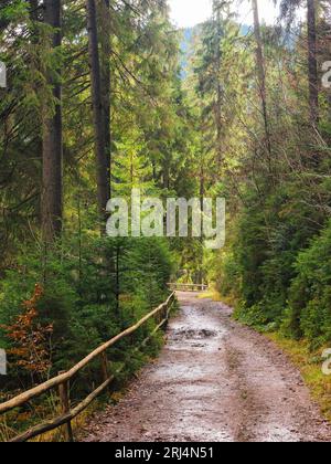 park in karpaten Nadelwäldern. Wunderschöne Naturkulisse in der Herbstsaison. Nasser Boden mit Pfützen nach dem Regen. Holzzaun entlang des Weges Stockfoto