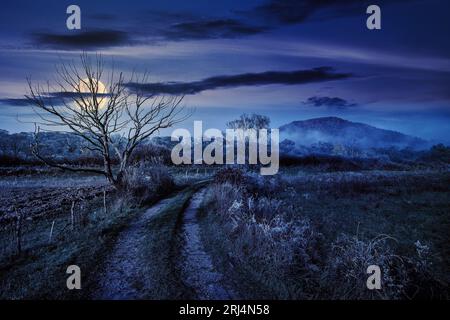 Ländliche Landschaft mit Straße zum Berg durch das ländliche Feld hinter dem Holzzaun und wenigen Bäumen im Spätherbst, nebeliges und frostiges Wetter in der Nacht. Löffel Stockfoto