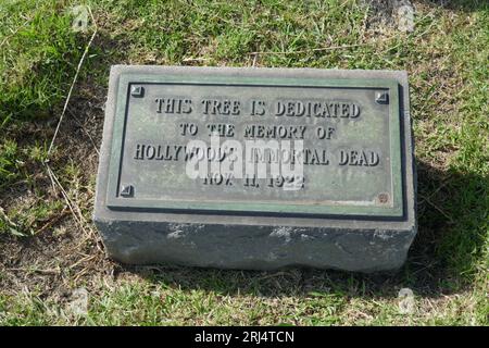 Hollywood, Kalifornien, USA 23. Juli 2023 dieser Baum ist der Gedenktafel und dem Baum der HollywoodÕs Immortal Dead gewidmet, die am 11. November 1022 hier gezeigt wurde, am 23. Juli 2023 in Hollywood, Kalifornien, USA. Foto von Barry King/Alamy Stock Photo Stockfoto