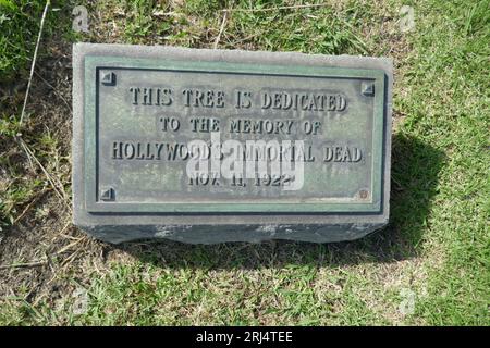 Hollywood, Kalifornien, USA 23. Juli 2023 dieser Baum ist der Gedenktafel und dem Baum der HollywoodÕs Immortal Dead gewidmet, die am 11. November 1022 hier gezeigt wurde, am 23. Juli 2023 in Hollywood, Kalifornien, USA. Foto von Barry King/Alamy Stock Photo Stockfoto