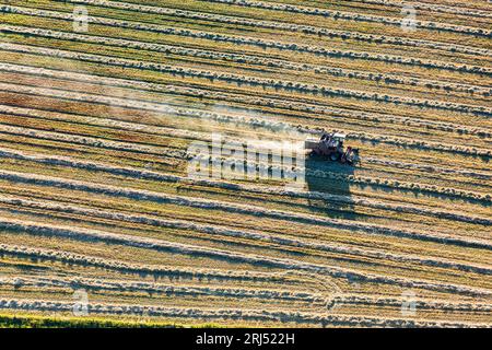 Kommerzieller Weizenanbau in Creston in der Region Kootenay im Südosten von British Columbia, Kanada Luftbildmuster Linien Stockfoto