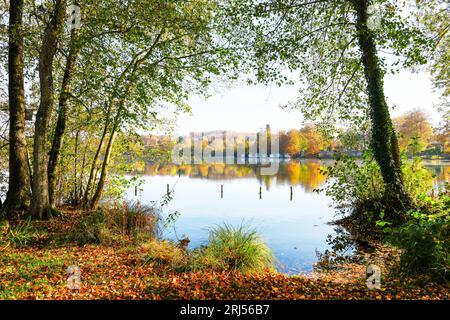 Wesslinger See in Wessling im Landkreis Starnberg in Bayern. Herbstlandschaft am See. Idyllische Natur. Stockfoto