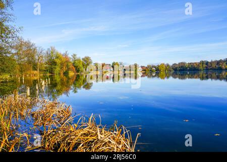 Wesslinger See in Wessling im Landkreis Starnberg in Bayern. Herbstlandschaft am See. Idyllische Natur. Stockfoto