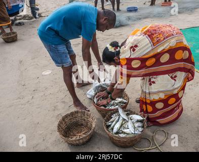 Palolem Beach, South Goa, Indien. August 2023. Fischer bringen ihre Boote an die Küste, um den frühen Morgenfang des Tages auf einem spontanen Markt am Sand zu verkaufen.Paul Quezada-Neiman/Alamy Live News Credit: Paul Quezada-Neiman/Alamy Live News Stockfoto