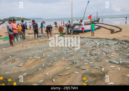 Palolem Beach, South Goa, Indien. August 2023. Fischer bringen ihre Boote an die Küste, um den frühen Morgenfang des Tages auf einem spontanen Markt am Sand zu verkaufen.Paul Quezada-Neiman/Alamy Live News Credit: Paul Quezada-Neiman/Alamy Live News Stockfoto