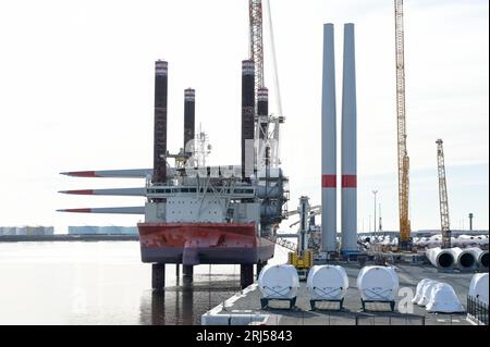 FRANKREICH, Le Havre Hafen, Siemens Gamesa Erneuerbare Energien SGRE Produktionsstätte für Windturbinen, Fred Olsen Flugzeugträger Brave Tern, ein Spezialschiff trägt Siemens Gamesa Windturbine, Turm und Rotorblatt für den Bau von 500 MW Offshore-Windpark Fecamp an der Normandie Küste / FRANKREICH, Le Havre Hafen, Siemens Gamesa Erneuerbare Energie SGRE Produktionsstandort für Windkraftanlagen Spezialschiff Brave Tern mit Siemens Gamesa Windkraftanlagen für den 500 MW Offshore Windpark Fecamp von Electricité de France SA EDF Renewables, Enbridge Inc. und wpd Stockfoto