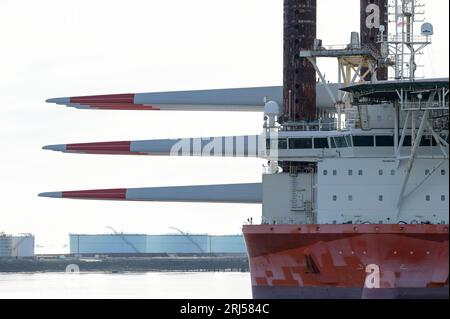 FRANKREICH, Hafen Le Havre, Fred Olsen-Flugzeugträger Brave Tern, ein Spezialschiff trägt Siemens Gamesa-Windturbine, Turm und Rotorblatt für den Bau des 500 MW Offshore-Windparks Fecamp an der Küste der Normandie, hinter Öltanks im Ölhafen/FRANKREICH, Le Havre Hafen, Spezialschiff Brave Tern mit Siemens Gamesa Windkraftanlagen für den 500 MW Offshore Windpark Fecamp von Electricité de France SA EDF Renewables, Enbridge Inc. und wpd, hinten Öltanks im Ölhafen Stockfoto