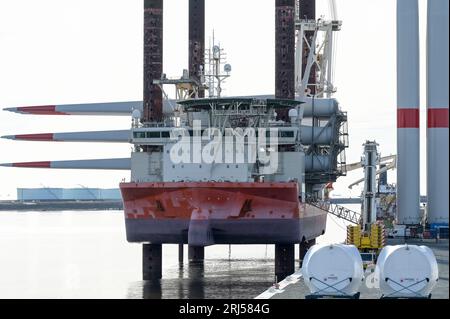 FRANKREICH, Hafen Le Havre, Fred Olsen-Flugzeugträger Brave Tern, ein Spezialschiff mit Siemens Gamesa-Windturbine, Turm und Rotorblatt für den Bau des 500 MW Offshore-Windparks Fecamp an der Normandie-Küste / FRANKREICH, Le Havre Hafen, Spezialschiff Brave Tern mit Siemens Gamesa Windkraftanlagen für den 500 MW Offshore Windpark Fecamp von Electricité de France SA EDF Renewables, Enbridge Inc. und wpd Stockfoto