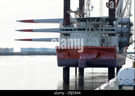 FRANKREICH, Hafen Le Havre, Fred Olsen-Flugzeugträger Brave Tern, ein Spezialschiff mit Siemens Gamesa-Windturbine, Turm und Rotorblatt für den Bau des 500 MW Offshore-Windparks Fecamp an der Normandie-Küste / FRANKREICH, Le Havre Hafen, Spezialschiff Brave Tern mit Siemens Gamesa Windkraftanlagen für den 500 MW Offshore Windpark Fecamp von Electricité de France SA EDF Renewables, Enbridge Inc. und wpd Stockfoto