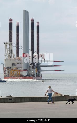 FRANKREICH, Hafen Le Havre, Fred Olsen-Flugzeugträger Brave Tern, ein Spezialschiff trägt Siemens Gamesa 7 MW-Windturbine Typ SWT-7.0-154 mit Turm und Rotorblatt für den Bau des 500 MW Offshore-Windparks Fecamp an der Normandie-Küste / FRANKREICH, Le Havre Hafen, auslaufendes Spezialschiff Brave Tern mit Siemens Gamesa Windkraftanlagen für den 500 MW Offshore Windpark Fecamp von Electricité de France SA EDF Renewables, Enbridge Inc. und wpd Stockfoto